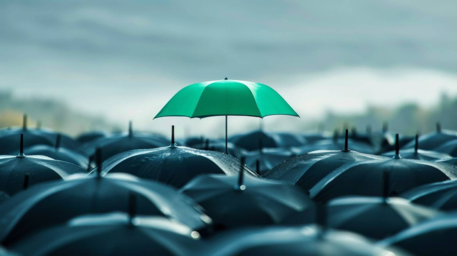 Secure Business Growth